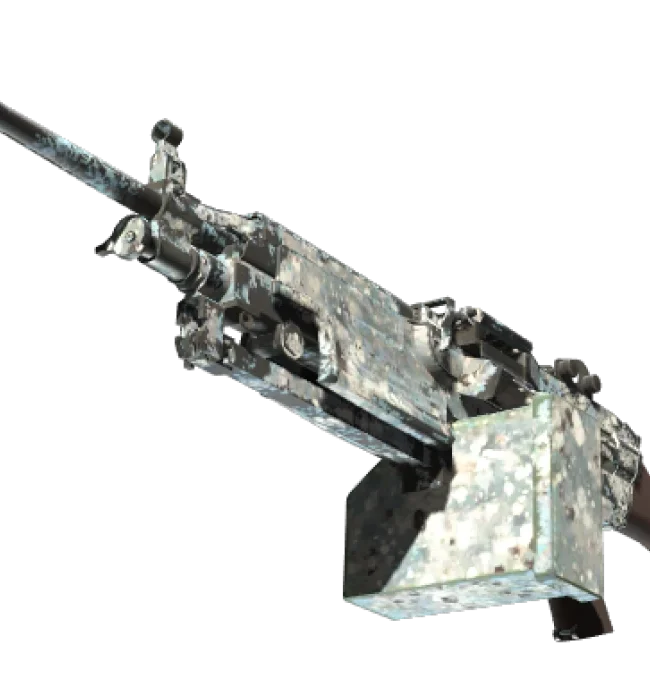 M249 | Blizzard Marbleized (Well-Worn)