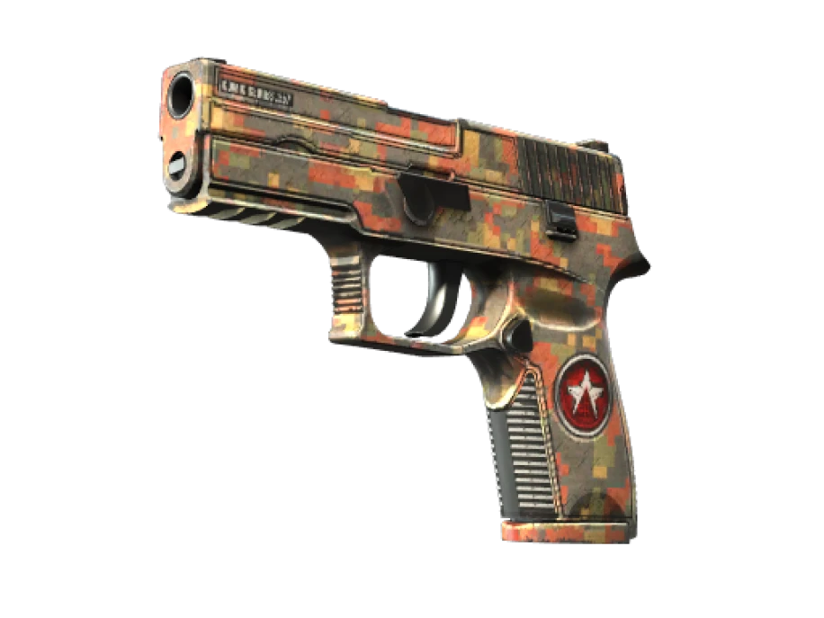 StatTrak™ P250 | Red Rock (Well-Worn)