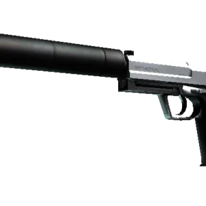 StatTrak™ USP-S | Stainless (Factory New)