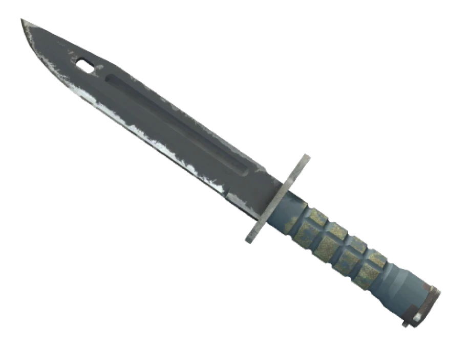 ★ Bayonet | Night (Well-Worn)
