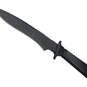 ★ Classic Knife | Night Stripe (Minimal Wear)