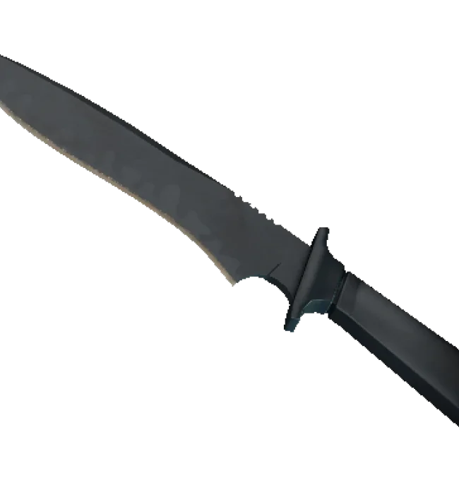 ★ Classic Knife | Night Stripe (Minimal Wear)
