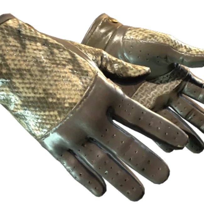 ★ Driver Gloves | Diamondback (Field-Tested)