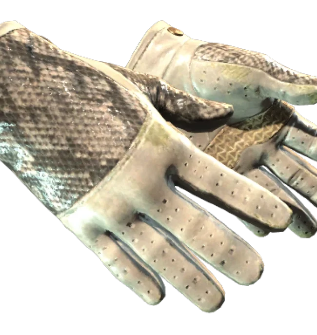 ★ Driver Gloves | King Snake (Field-Tested)