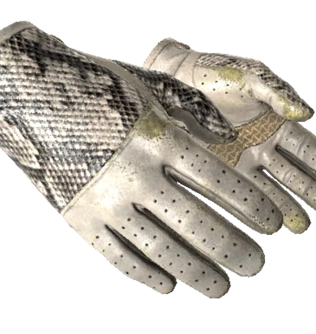 ★ Driver Gloves | King Snake (Well-Worn)