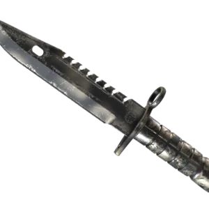 ★ M9 Bayonet | Scorched (Field-Tested)