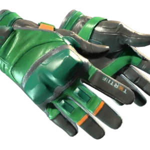 ★ Moto Gloves | Turtle (Minimal Wear)