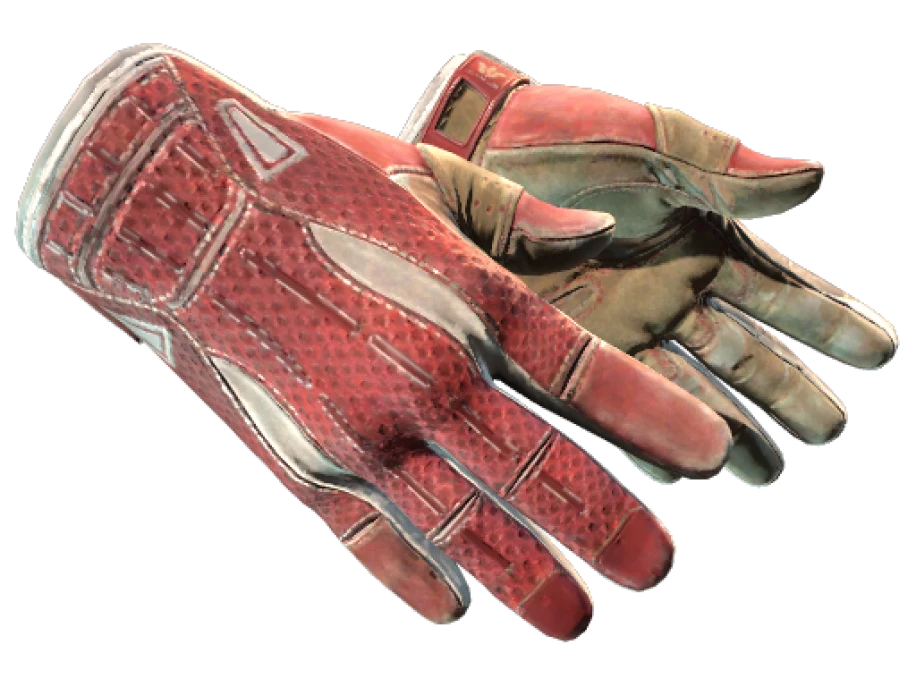 ★ Sport Gloves | Slingshot (Well-Worn)