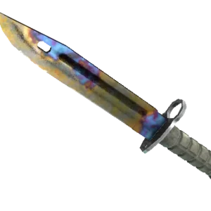 ★ StatTrak™ Bayonet | Case Hardened (Field-Tested)