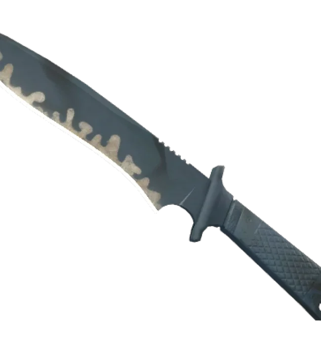 ★ StatTrak™ Classic Knife | Night Stripe (Field-Tested)