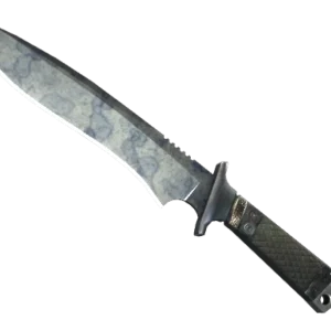 ★ StatTrak™ Classic Knife | Stained (Well-Worn)