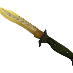 ★ Bowie Knife | Lore (Minimal Wear)