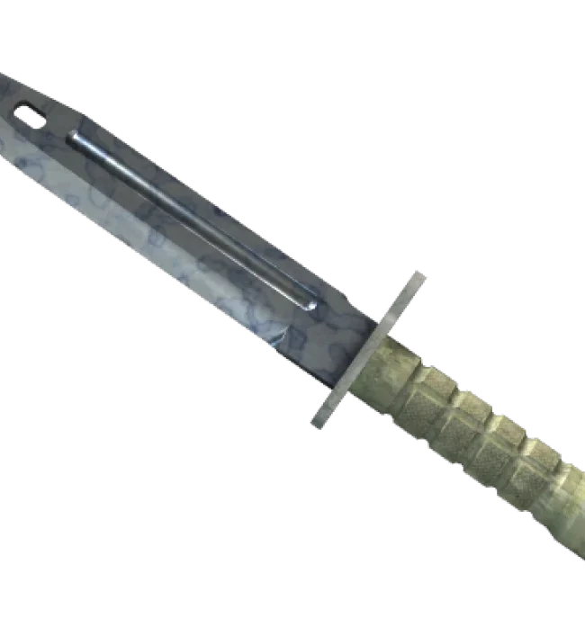★ StatTrak™ Bayonet | Stained (Factory New)