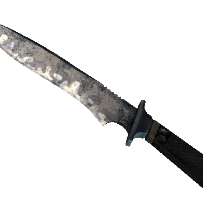 ★ StatTrak™ Classic Knife | Stained (Battle-Scarred)