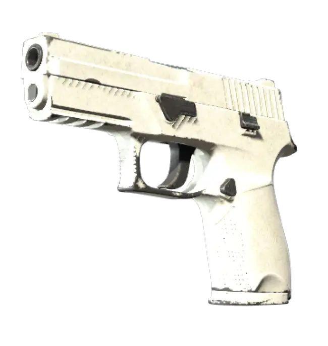 P250 | Whiteout (Well-Worn)
