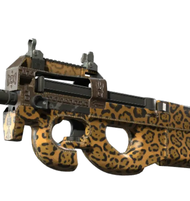 P90 | Run and Hide (Well-Worn)