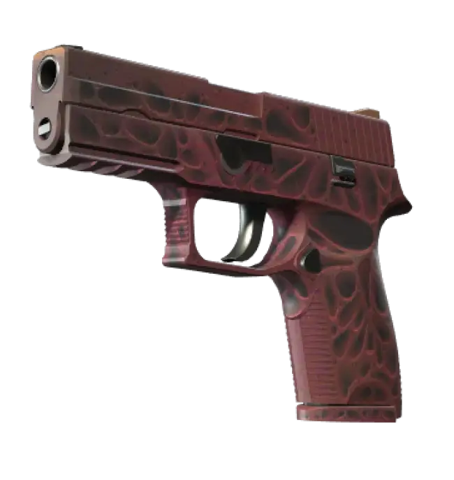 StatTrak™ P250 | Contaminant (Factory New)