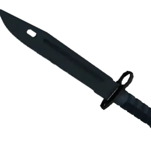★ Bayonet | Night (Minimal Wear)