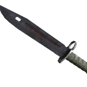 ★ Bayonet | Rust Coat (Well-Worn)
