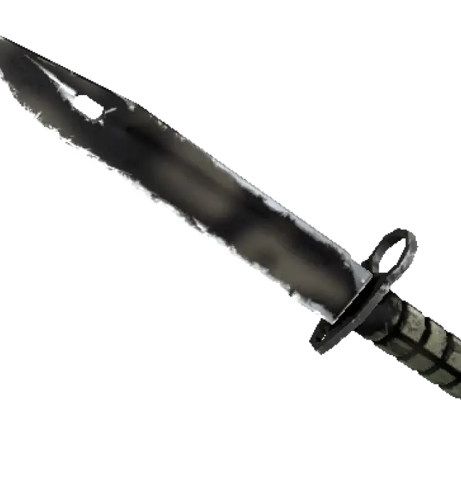 ★ Bayonet | Scorched (Well-Worn)