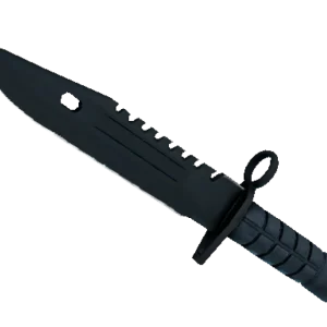 ★ M9 Bayonet | Night (Minimal Wear)