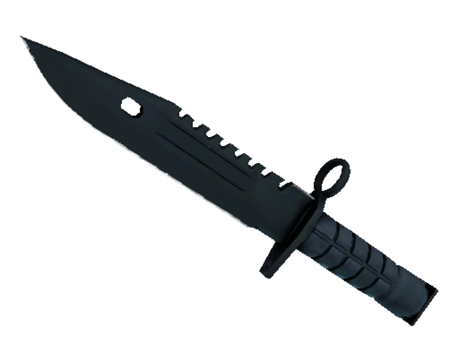 ★ M9 Bayonet | Night (Minimal Wear)