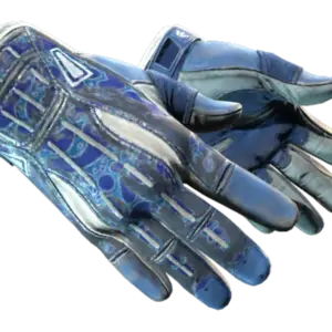 ★ Sport Gloves | Amphibious (Battle-Scarred)