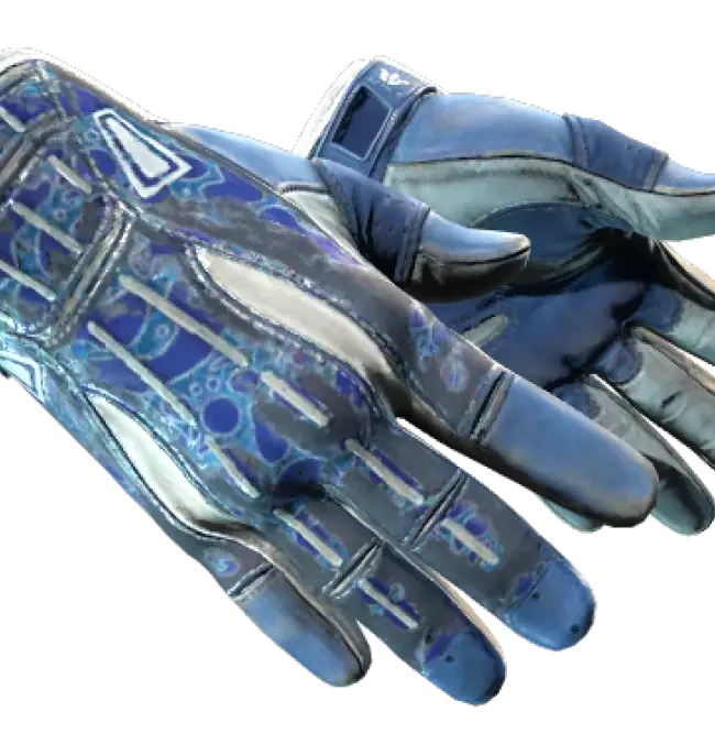 ★ Sport Gloves | Amphibious (Battle-Scarred)