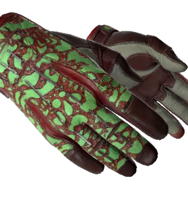 ★ Sport Gloves | Bronze Morph (Factory New)