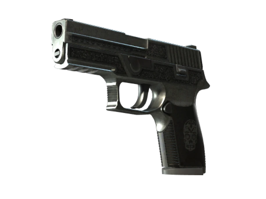 StatTrak™ P250 | Cartel (Battle-Scarred)
