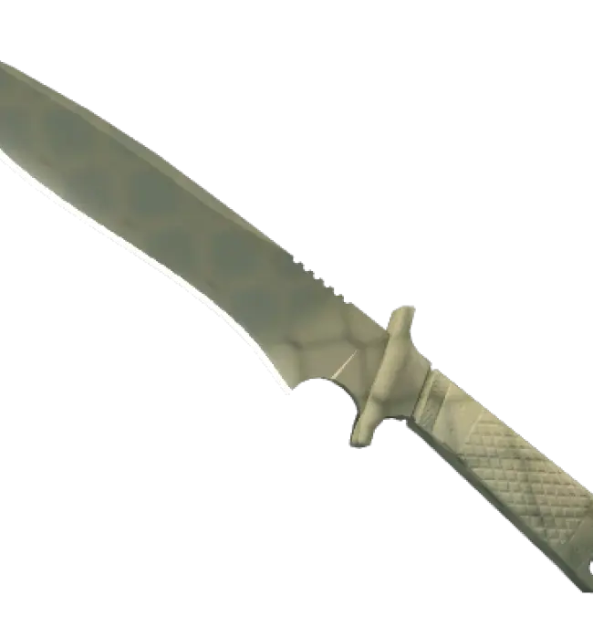★ Classic Knife | Safari Mesh (Factory New)