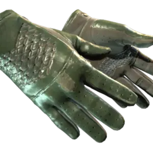 ★ Driver Gloves | Racing Green (Well-Worn)