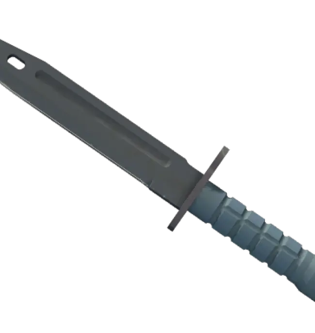★ StatTrak™ Bayonet | Night (Minimal Wear)