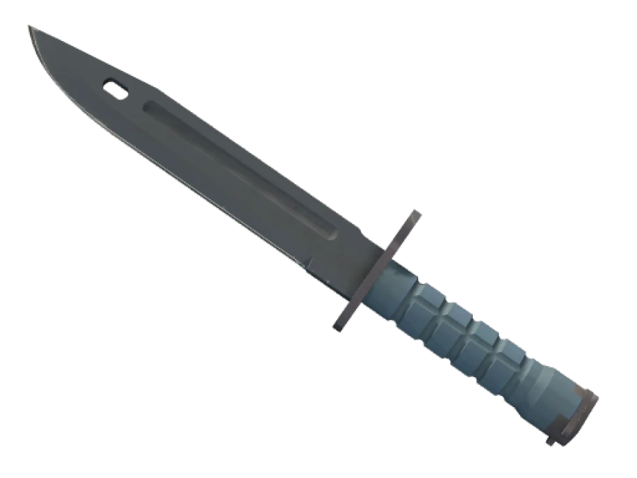 ★ StatTrak™ Bayonet | Night (Minimal Wear)