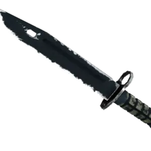 ★ StatTrak™ Bayonet | Night (Well-Worn)