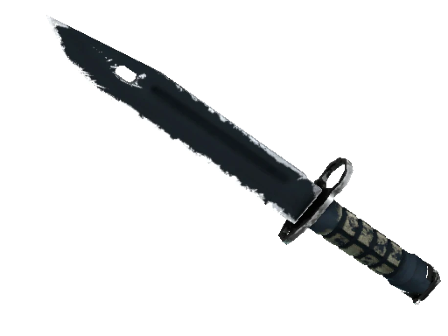 ★ StatTrak™ Bayonet | Night (Well-Worn)