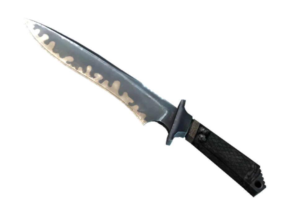 ★ StatTrak™ Classic Knife