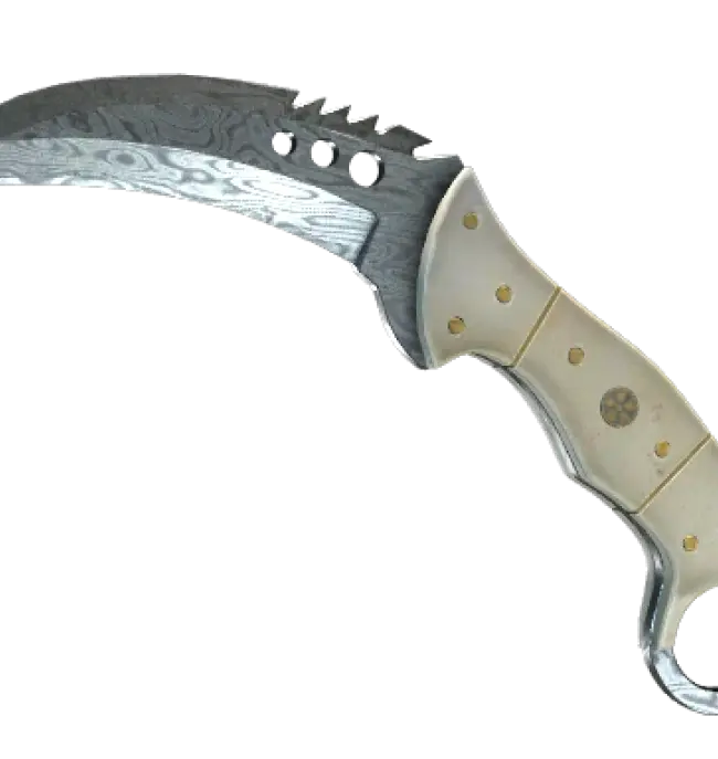 ★ StatTrak™ Talon Knife | Damascus Steel (Field-Tested)