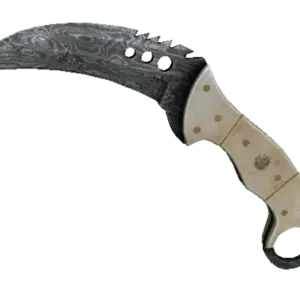 ★ Talon Knife | Damascus Steel (Battle-Scarred)