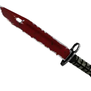 ★ Bayonet | Crimson Web (Well-Worn)