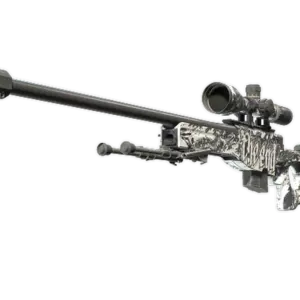 AWP | The End (Well-Worn)