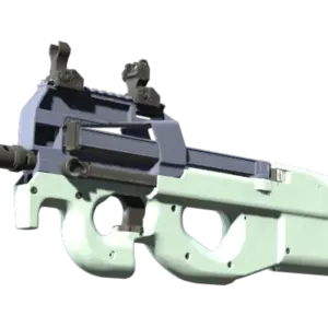 P90 | Storm (Factory New)