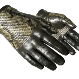 ★ Driver Gloves | Diamondback (Minimal Wear)