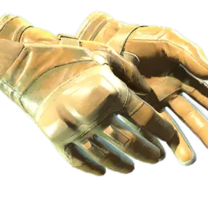 ★ Moto Gloves | Transport (Factory New)